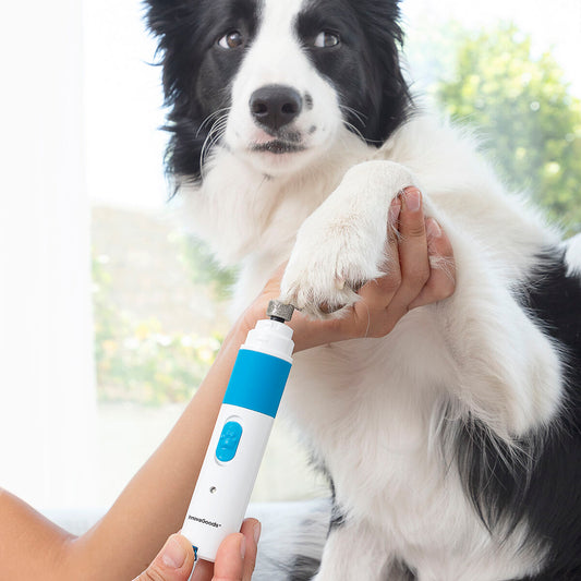 Rechargeable Pet Nail
